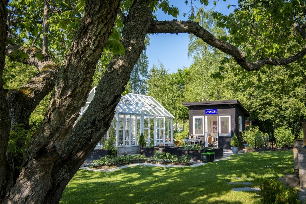 Trädgård intill poolen.